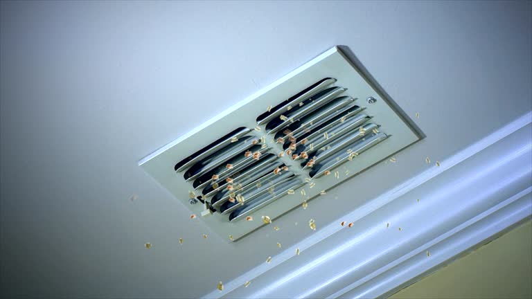 Best Air Duct Cleaning Near Me  in Llender, CA